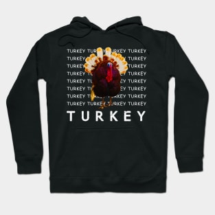 wkrp turkey drop shirt Hoodie